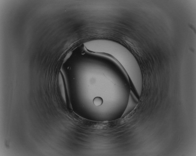 X0000091720172200709071444