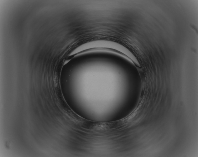 X0000091720174200709071444