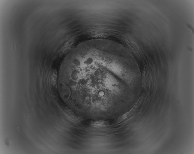 X0000091720175200709071444