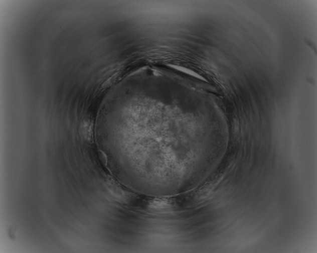 X0000091720177200709071444