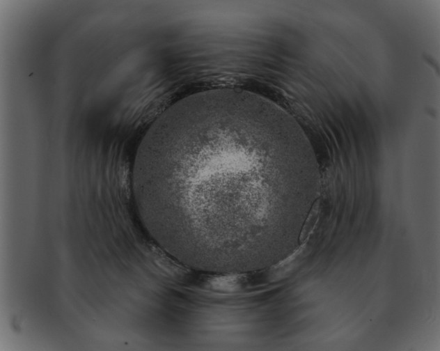 X0000091720178200709071444