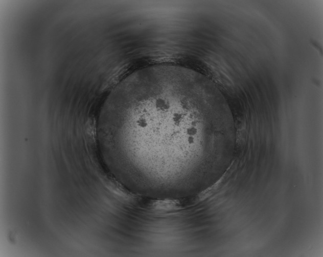 X0000091720179200709071444