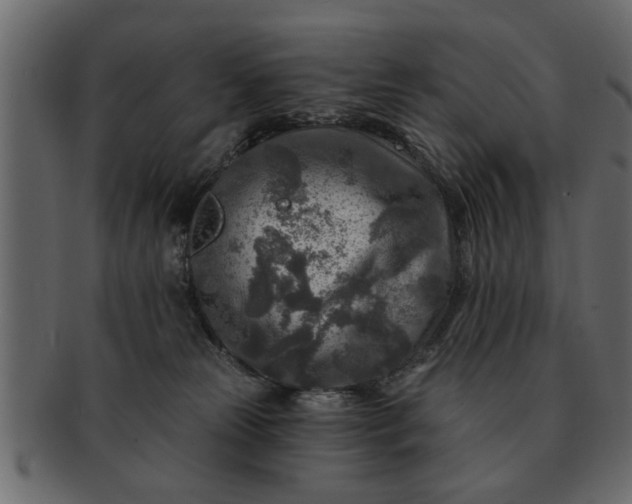 X0000091720181200709071444