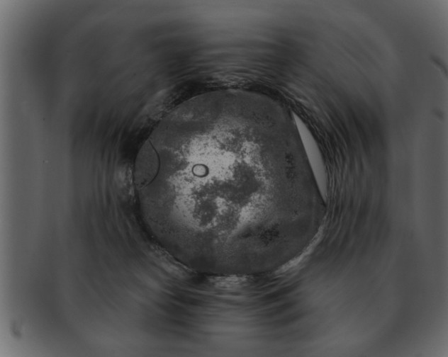 X0000091720182200709071444