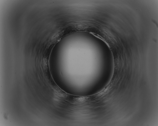 X0000091720184200709071444