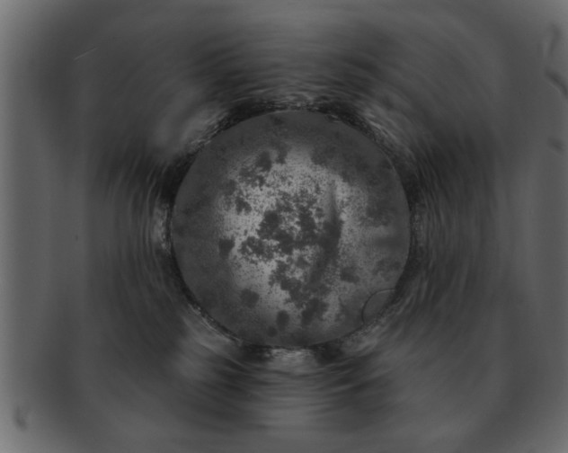 X0000091720185200709071444