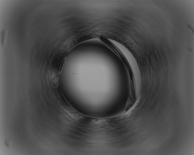 X0000091720186200709071444