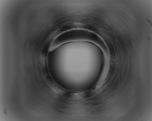 X0000091720188200709071444