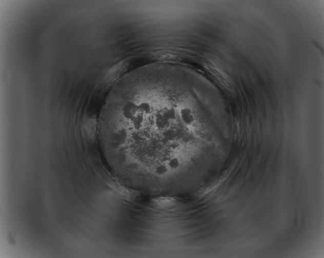 X0000091720189200709071444