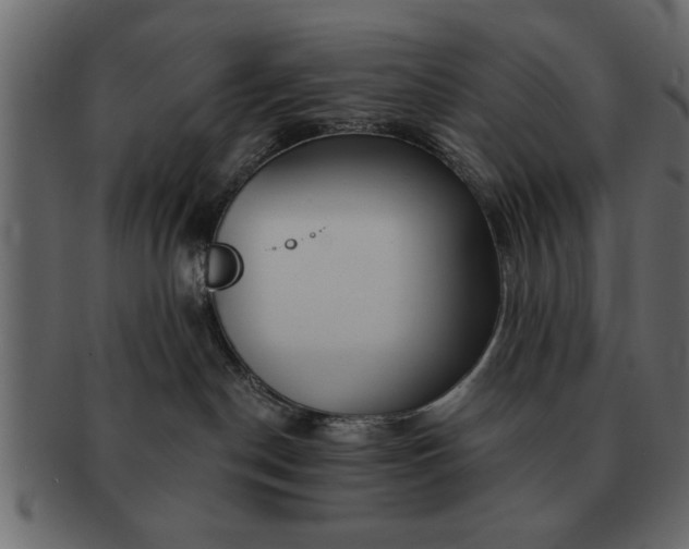 X0000091720190200709071444