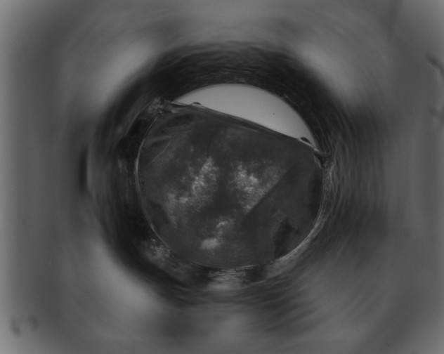 X0000091720191200709071444