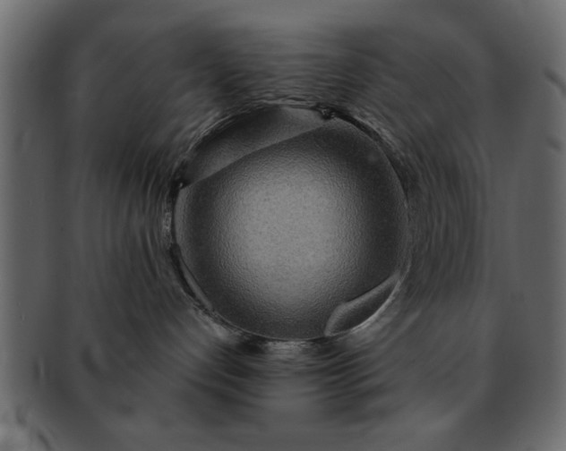 X0000091720192200709071444