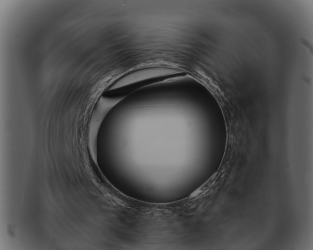 X0000091720193200709071444