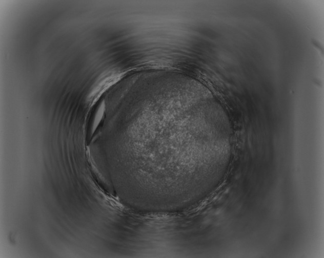 X0000091720194200709071444