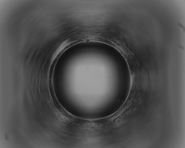 X0000091720195200709071444