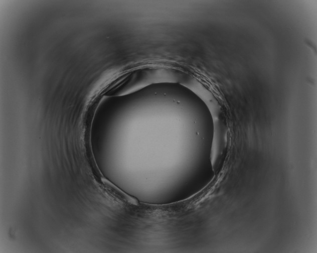 X0000091720197200709071444