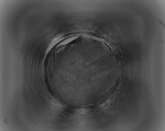 X0000091720198200709071443