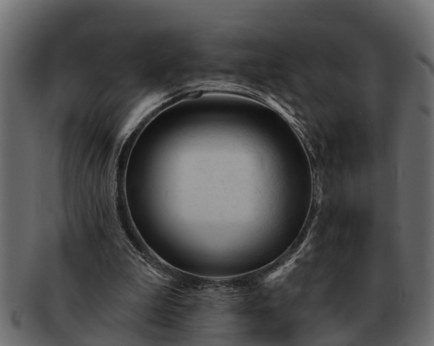 X0000091720199200709071443