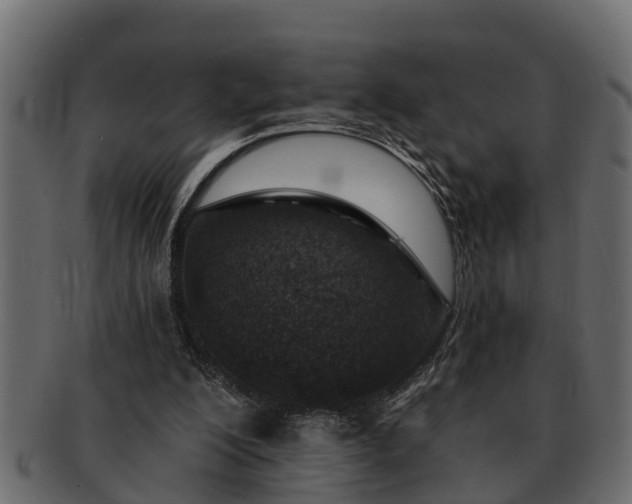 X0000091720200200709071443