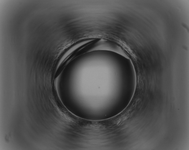 X0000091720201200709071443