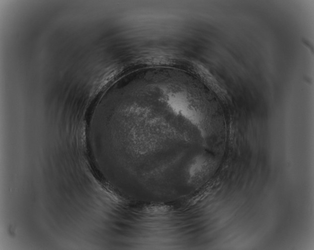 X0000091720202200709071443