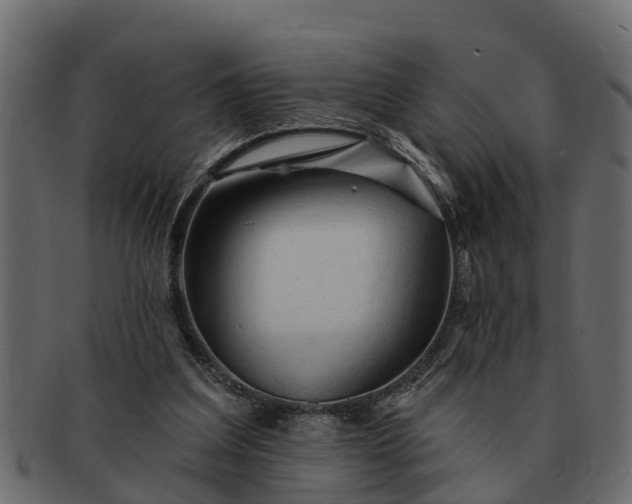 X0000091720203200709071443