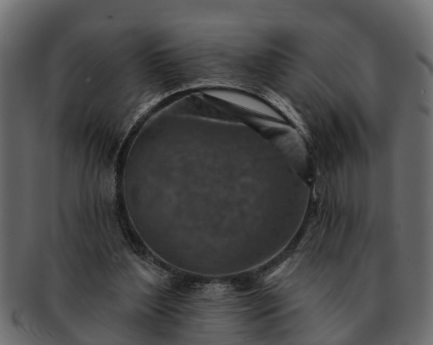 X0000091720204200709071443