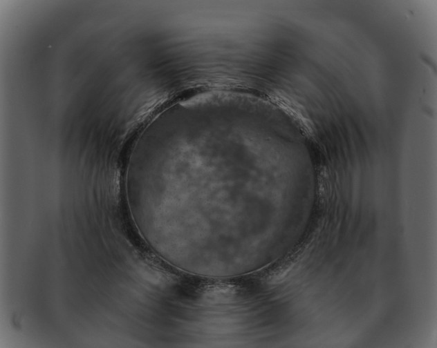 X0000091720206200709071443