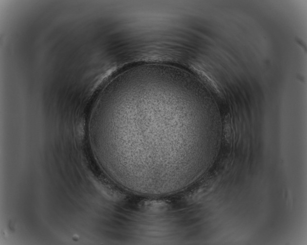 X0000091720208200709071443