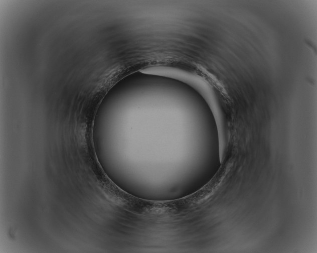 X0000091720209200709071443