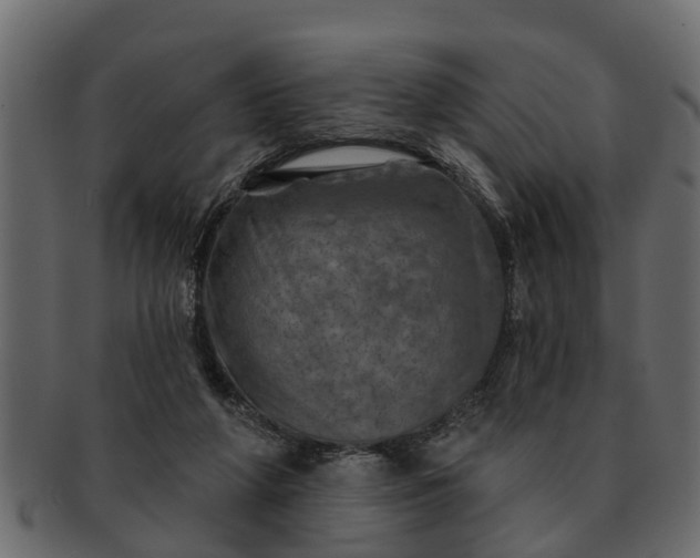 X0000091720210200709071443