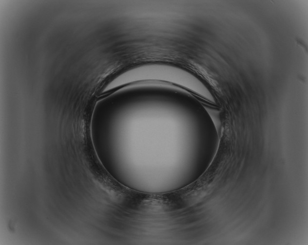 X0000091720211200709071443