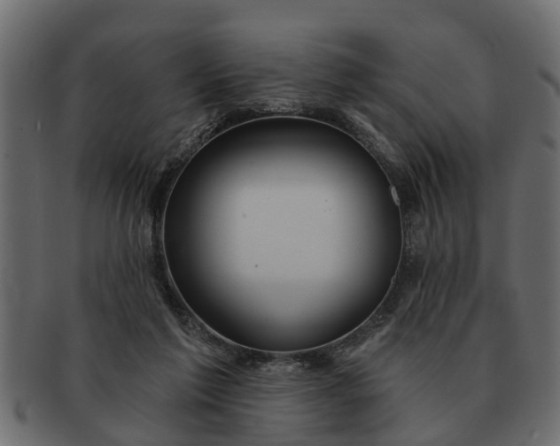 X0000091720213200709071443