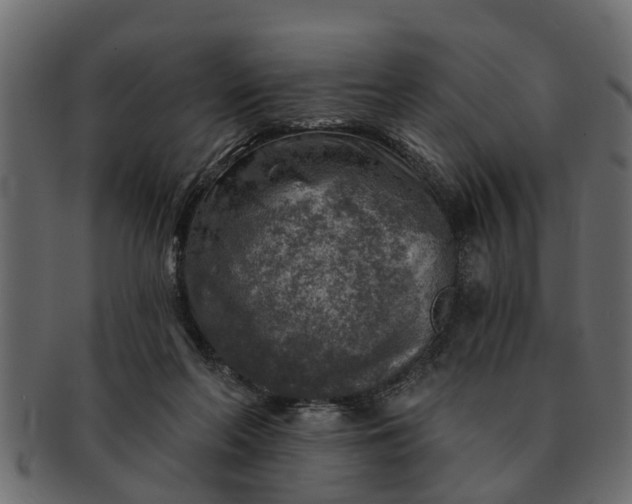 X0000091720214200709071443