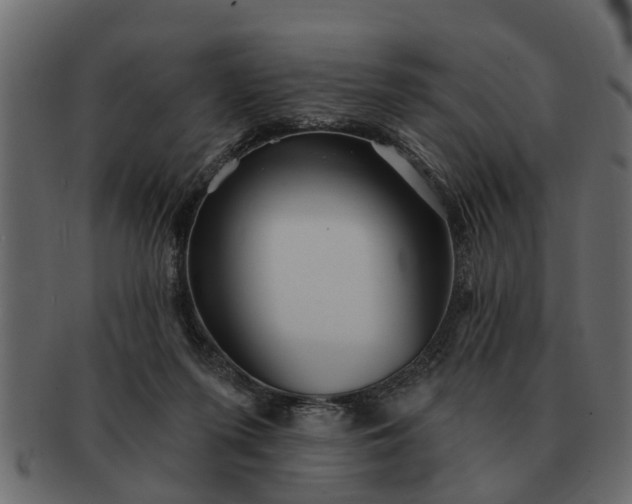 X0000091720215200709071443