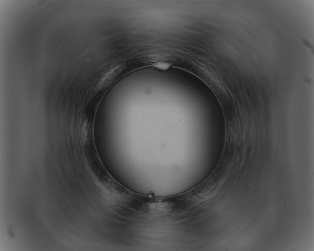 X0000091720216200709071443