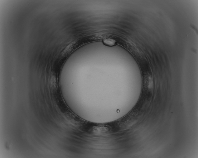 X0000091720220200709071443