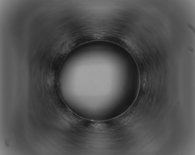 X0000091720221200709071443