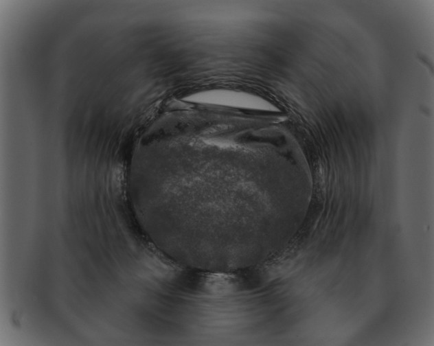 X0000091720222200709071443