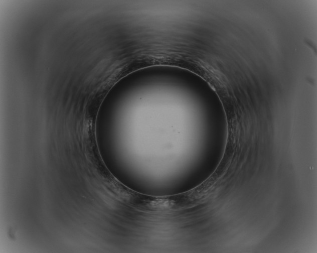 X0000091720225200709071443