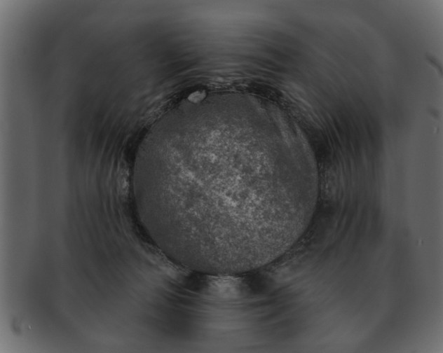 X0000091720226200709071443