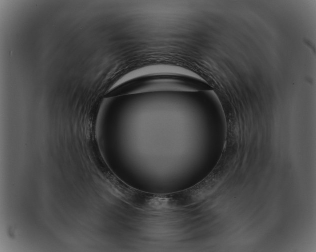 X0000091720227200709071443