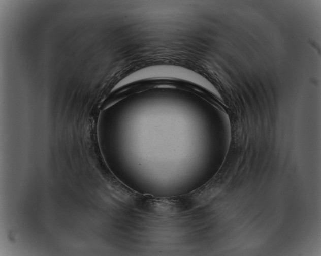 X0000091720229200709071443