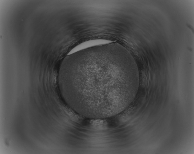 X0000091720230200709071443