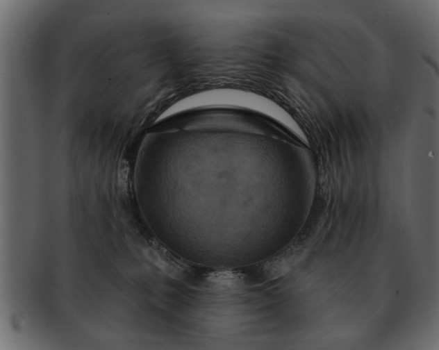 X0000091720231200709071443