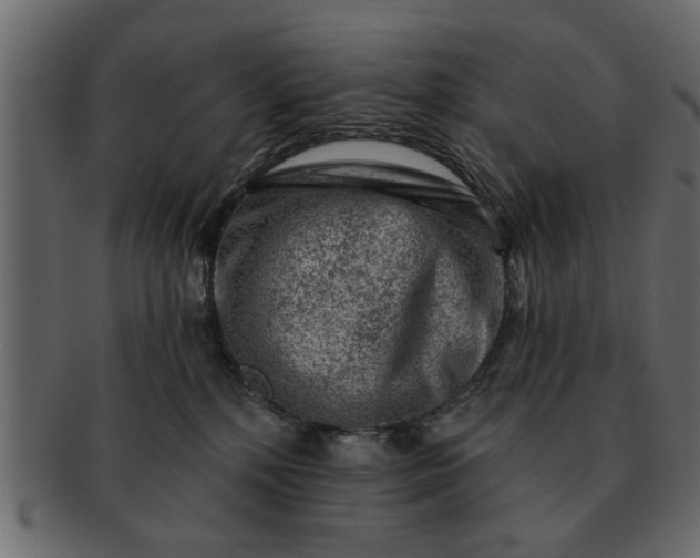 X0000091720232200709071443