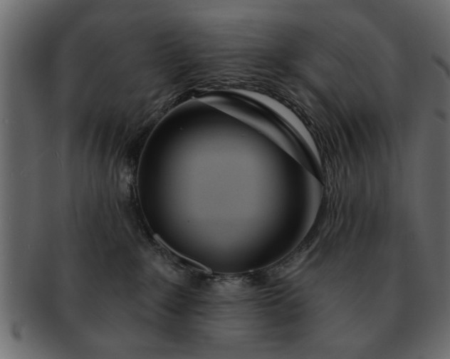 X0000091720235200709071443