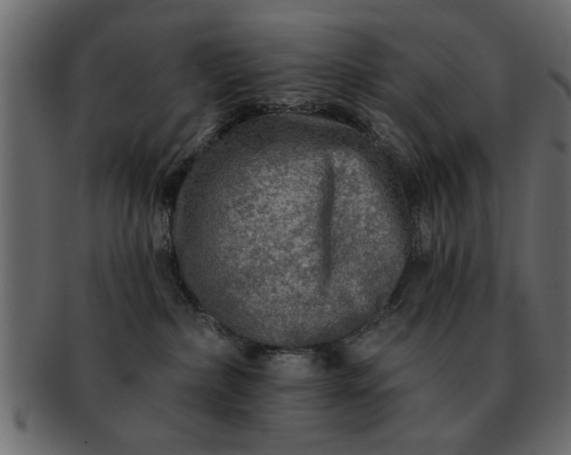 X0000091720236200709071443