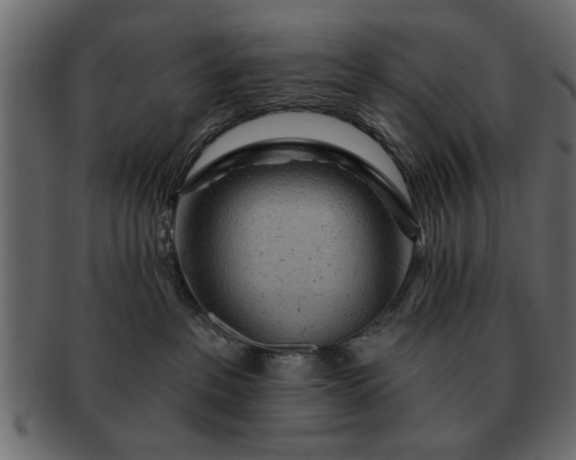 X0000091720237200709071443