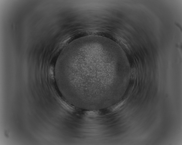 X0000091720238200709071443